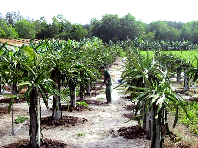 Doanh nghiệp Quảng Ninh: Khẳng định vị thế