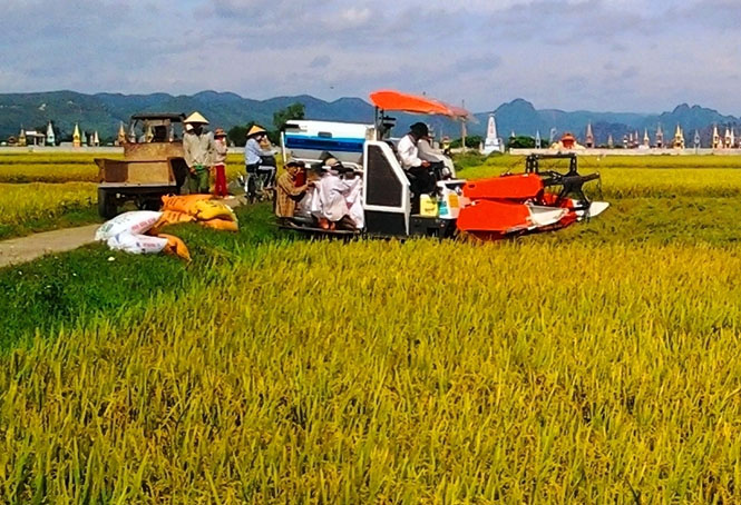 Thị xã Ba Đồn hướng lên tầm cao mới