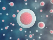 Liệu pháp gen sử dụng tế bào gốc tạo máu trong điều trị HIV/AIDS