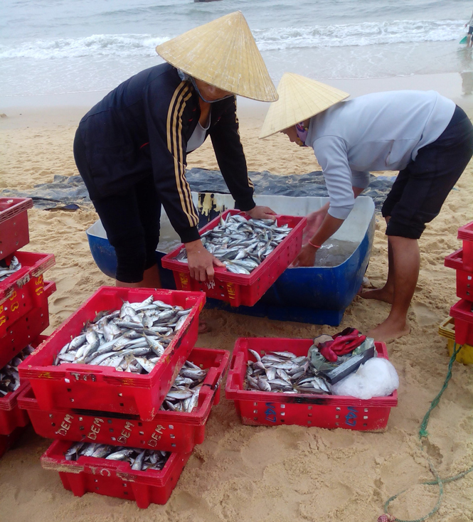 Khuyến khích phát triển đánh bắt thủy hải sản