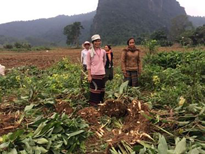 Quảng Ninh: Có 15.734 hộ hội viên nông dân đạt danh hiệu "Gia đình văn hóa"