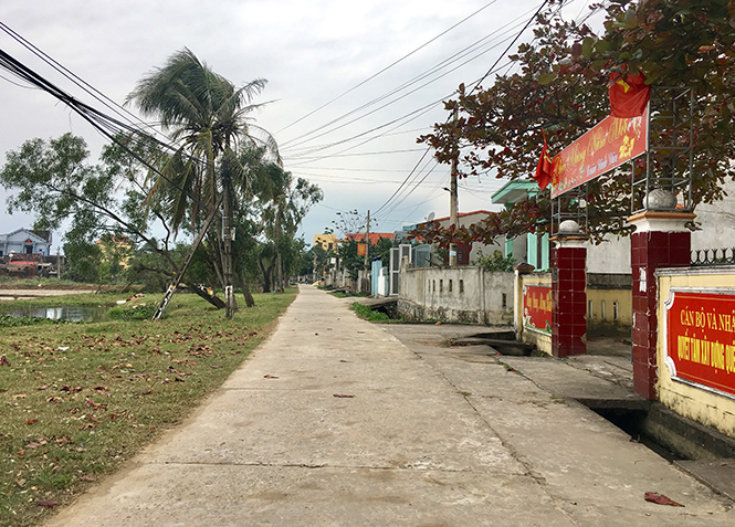 Điểm sáng Võ Ninh