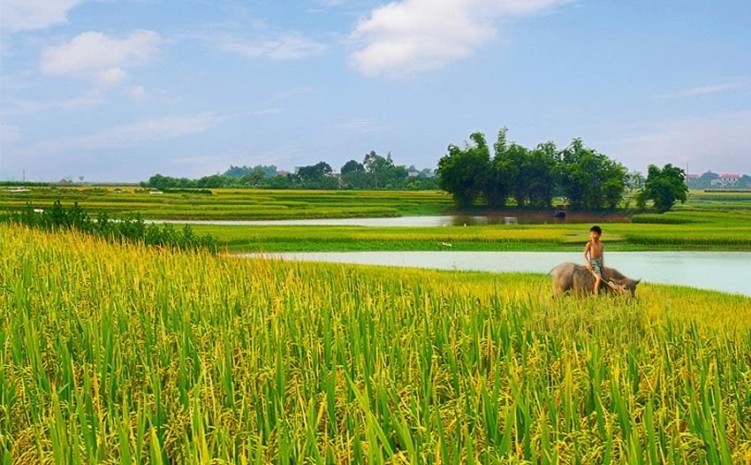 Xin đồng chút gió