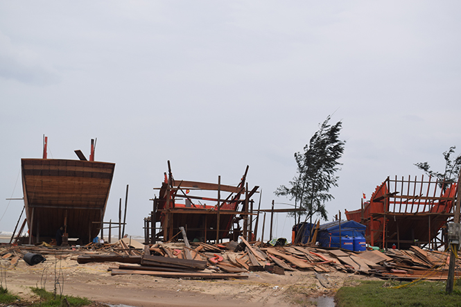Sôi nổi phong trào sản xuất, kinh doanh giỏi
