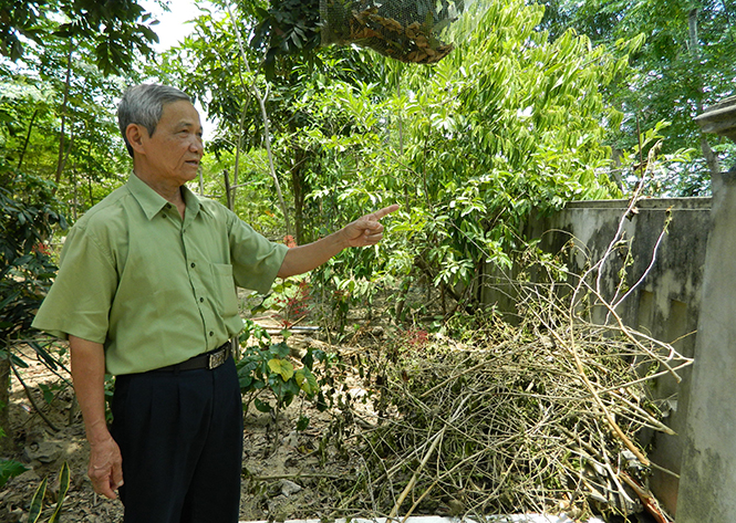 Dân vận khéo trong xây dựng nông thôn mới