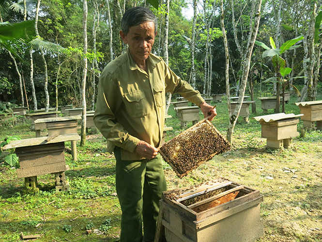 Nông dân thi đua sản xuất kinh doanh giỏi