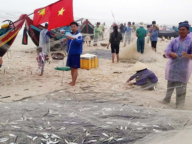 Xã Hải Ninh: Xuất khẩu 500 tấn hải sản