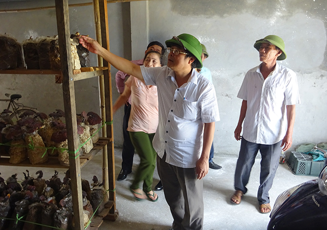 Quảng Ninh: Nhân rộng mô hình giúp phụ nữ nghèo phát triển kinh tế