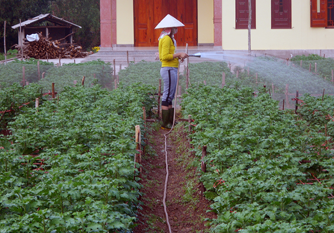 Tây Trạch ngày mới