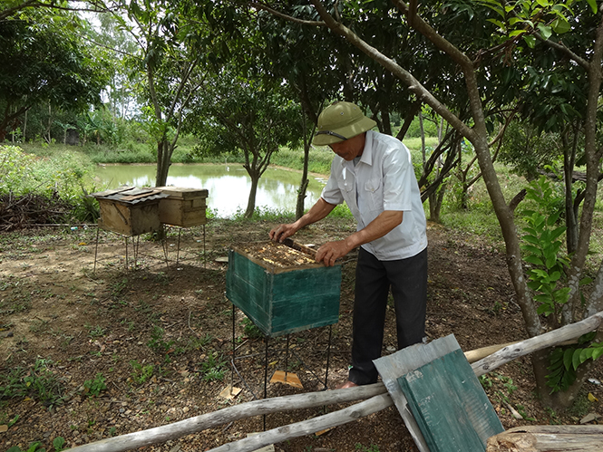 Huy động trên 475 tỷ đồng hỗ trợ hội viên CCB phát triển sản xuất