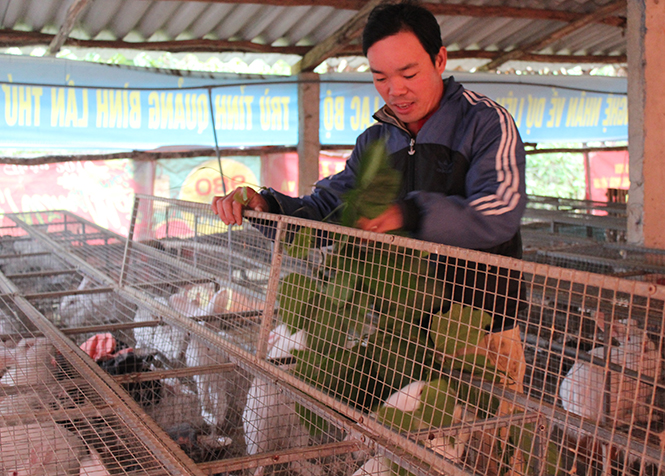 Chuyện thoát nghèo của anh Thuyên