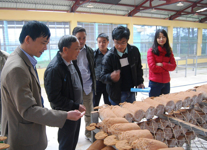 Hoạt động khoa học công nghệ: Nhiều chuyển biến tích cực