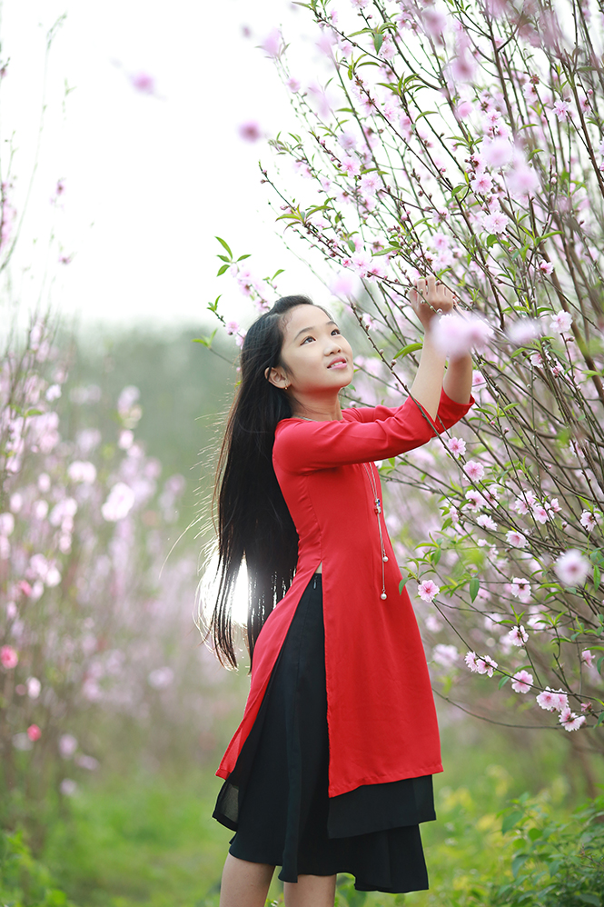 Hoa đào Lý Trạch