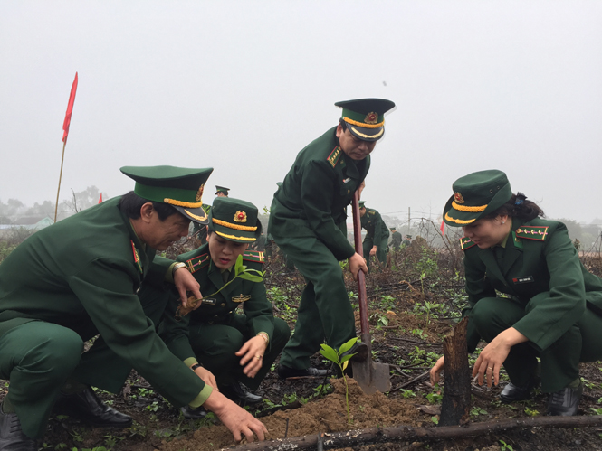 Hưởng ứng Tết trồng cây