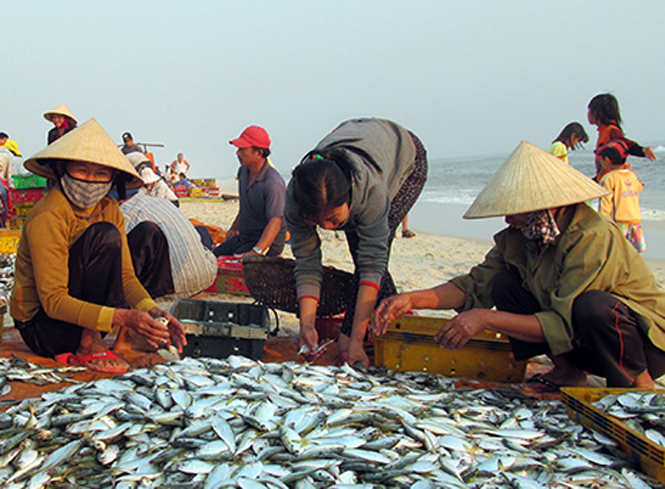 "Lộc biển" đầu năm