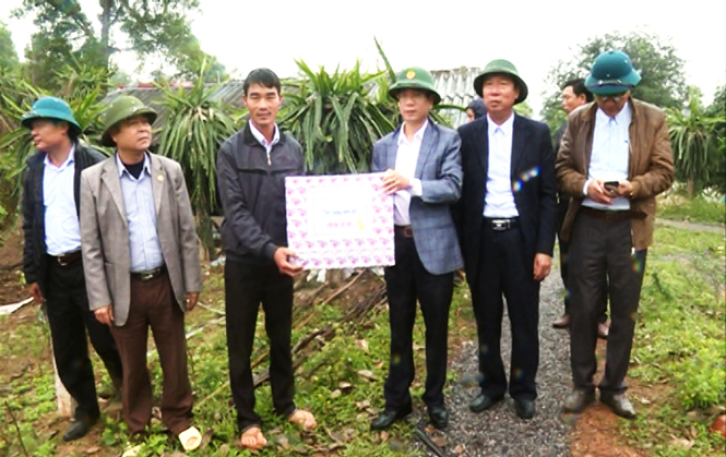 Quảng Ninh: Cây trồng vụ đông-xuân sinh trưởng và phát triển tốt