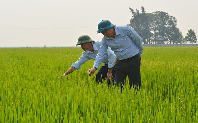 Đảng bộ xã An Ninh: Khắc phục yếu kém để vươn lên