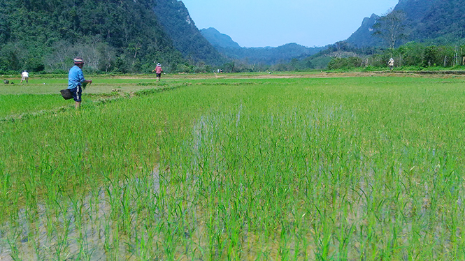 Bộ đội Biên phòng tham gia xây dựng NTM