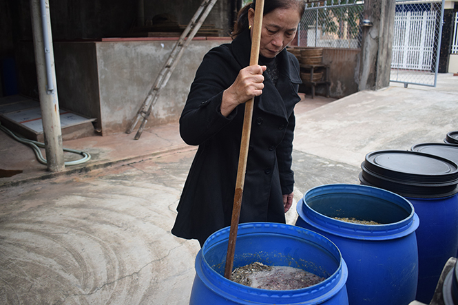 Phụ nữ xã Bảo Ninh:      Phát huy vai trò trong phát triển kinh tế