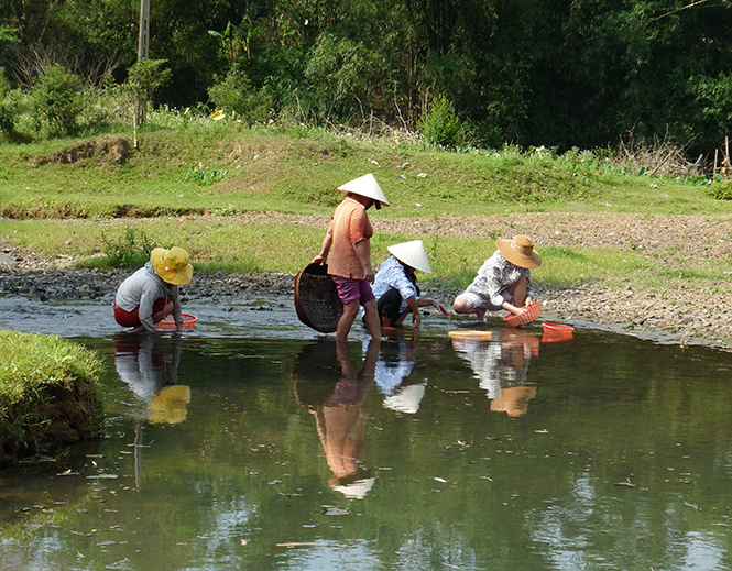 Bông hoa tình mẹ
