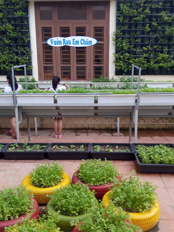 TP. Đồng Hới: Nhân rộng không gian xanh trong trường học