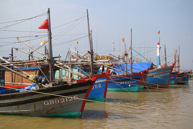 Khẩn trương hoàn thành chi trả tiền bồi thường do sự cố môi trường biển