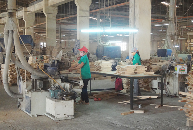 Hội Doanh nghiệp tỉnh: Đồng hành cùng doanh nghiệp