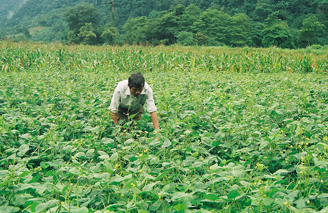 Phát huy vai trò già làng, trưởng bản, người có uy tín trong đồng bào dân tộc thiểu số ở Minh Hóa: Cầu nối vững chắc của ý Đảng, lòng dân
