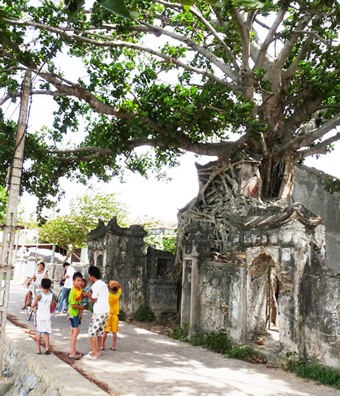 Cội nguồn