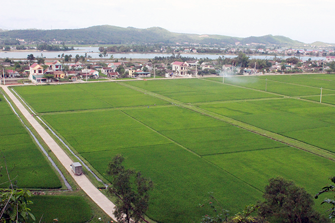 Tháng tư