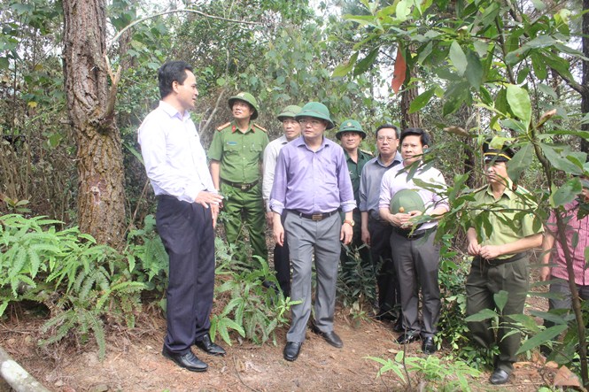 Đồng chí Phó Chủ tịch UBND tỉnh kiểm tra công tác quản lý, bảo vệ rừng tại huyện Tuyên Hóa