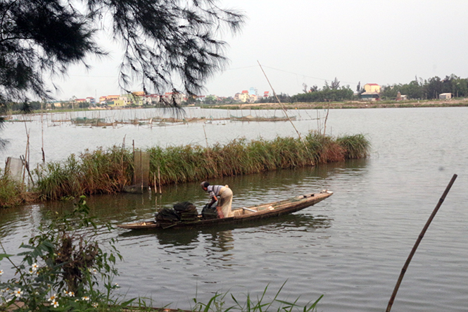 Quảng Ninh: Sản lượng đánh bắt và nuôi trồng thủy sản đạt gần 780 tấn