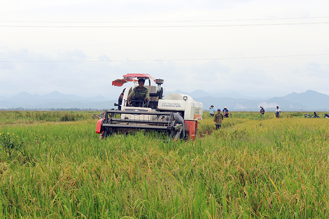Để không "trễ hẹn" nông thôn mới