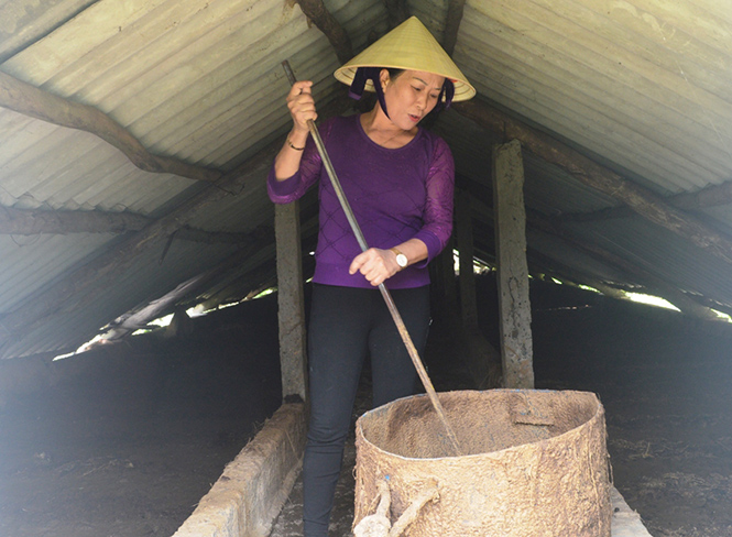 Chăn nuôi sạch nhờ... giun quế