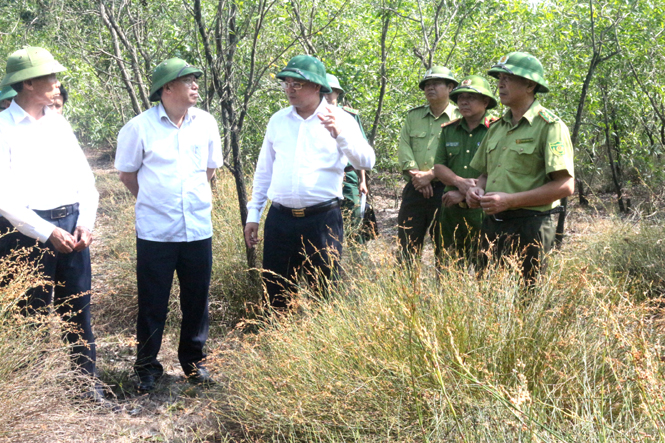 Đẩy mạnh tuyên truyền, chủ động phòng cháy chữa cháy rừng