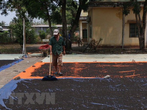 Hồ tiêu Việt Nam: Không để "con sâu làm rầu nồi canh"