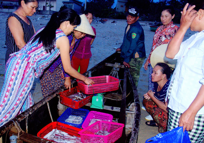Bố Trạch vào mùa khai thác hải sản