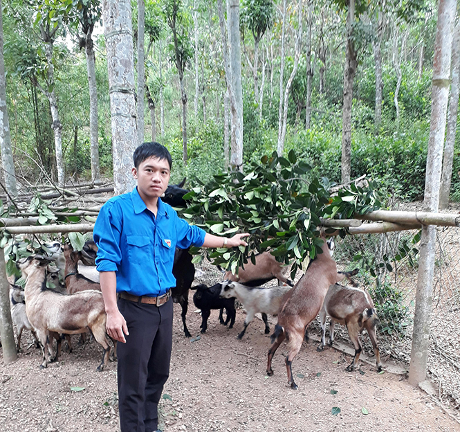 Người thủ lĩnh thanh niên vùng giáo