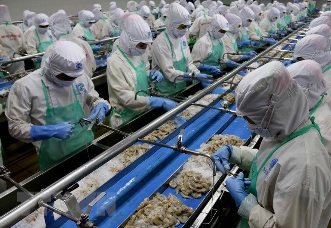 EC kiểm tra việc khắc phục "thẻ vàng" về thủy sản tại Việt Nam