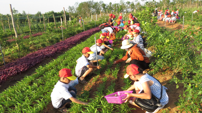 Học sinh với 'Hành trang nông dân 4.0'