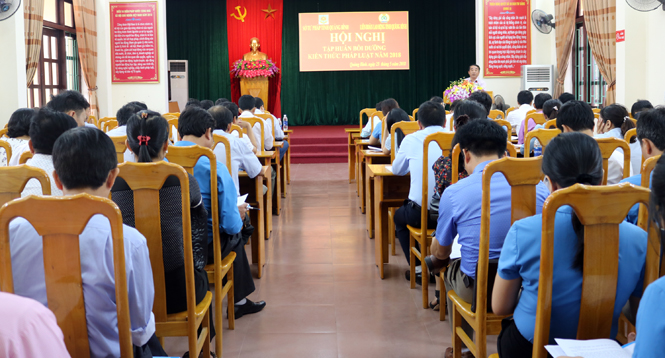 Bồi dưỡng kiến thức pháp luật cho cán bộ, đoàn viên công đoàn