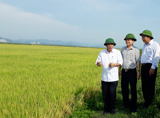 Thực hiện Nghị quyết Trung ương 7 về "tam nông-Bài 2: Vượt qua rào cản