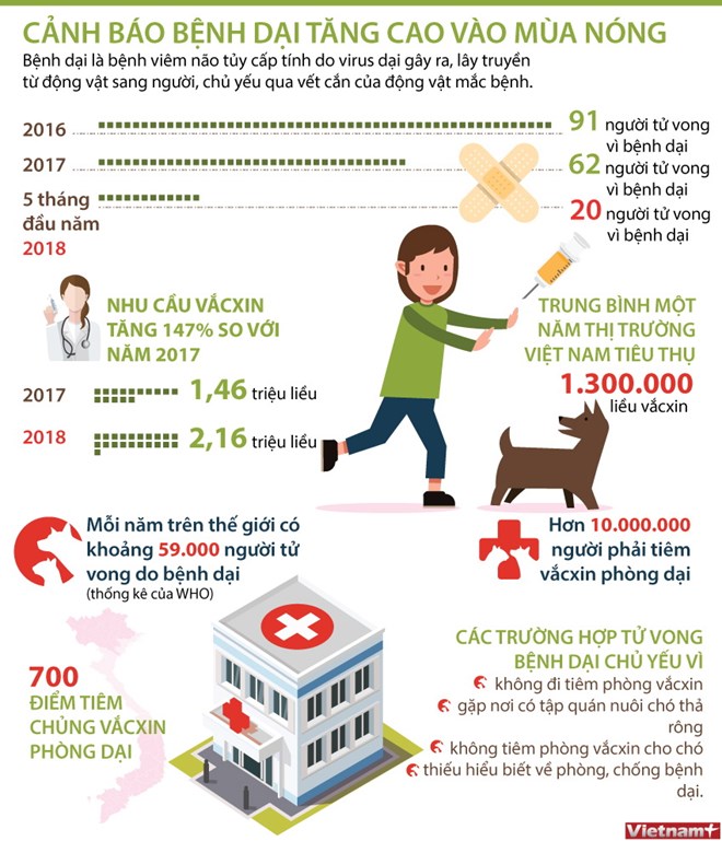 [Infographics] Đã có 20 người tử vong vì bệnh dại trong 5 tháng