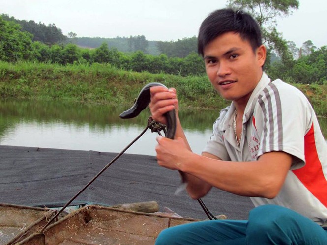 Khởi nghiệp từ cá chình