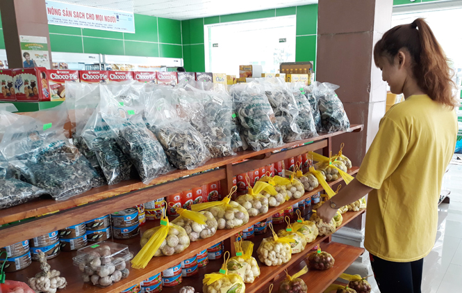 Nông dân-siêu thị:  Cần những cái "bắt tay" bền chặt