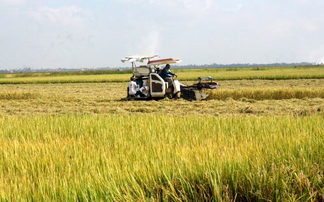 Thêm một vụ mùa đông-xuân thắng lợi