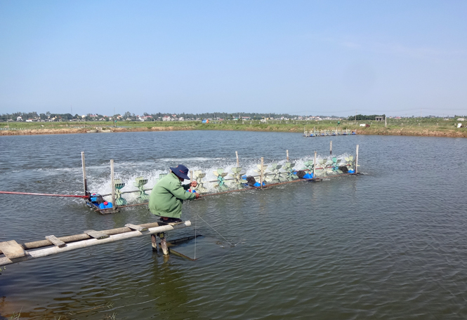 Hiệu quả của một phong trào
