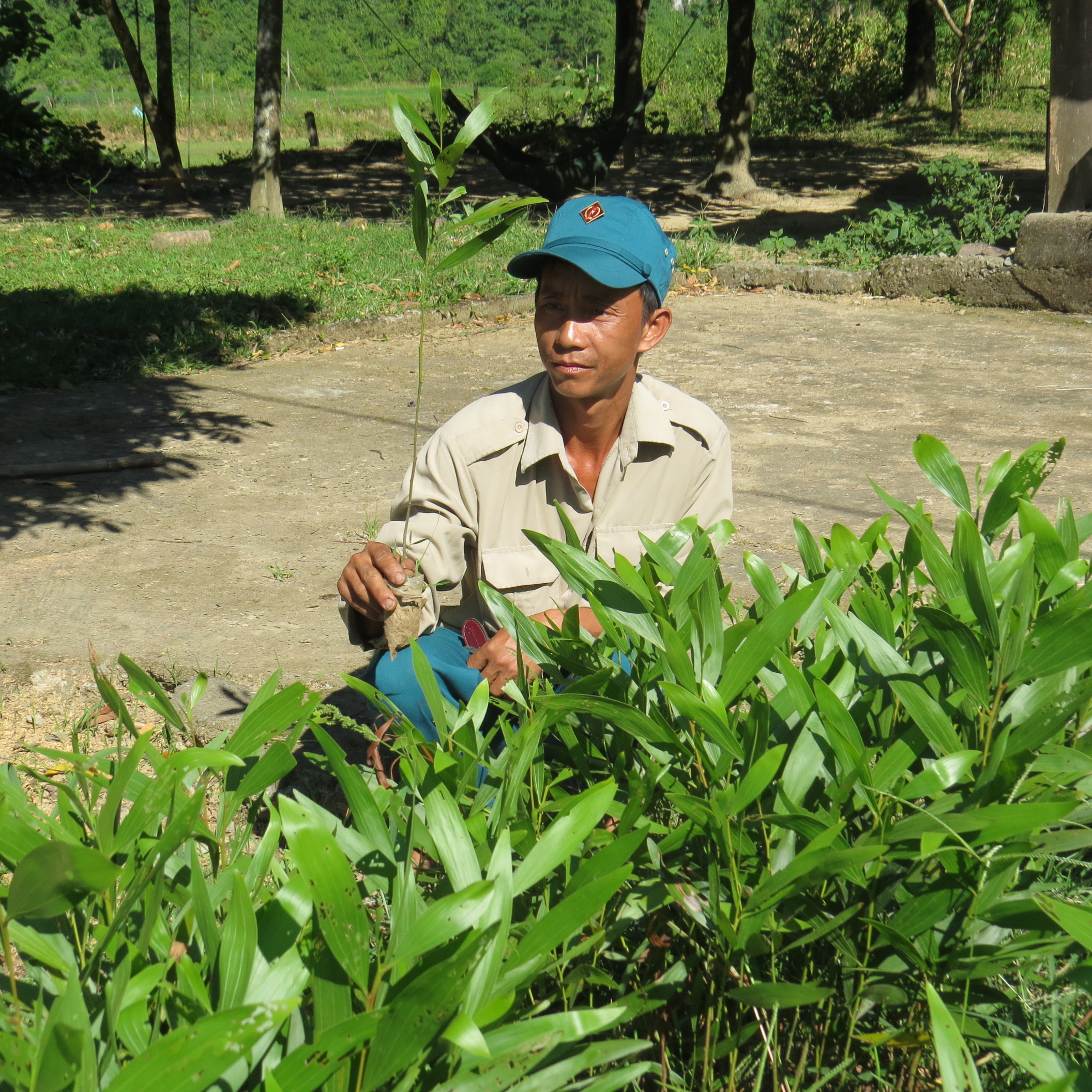 Minh Hóa: Trồng mới 1.700ha rừng trong năm 2018
