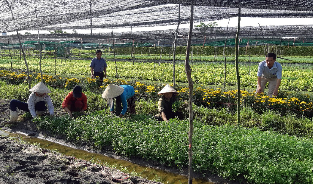 Hội Nông dân thị xã Ba Đồn đồng hành cùng hội viên phát triển kinh tế-xã hội
