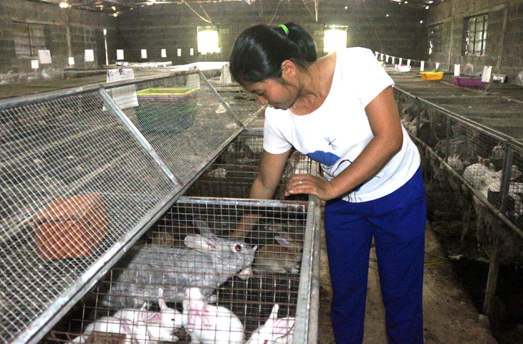Tiếp lửa "giấc mơ" nông nghiệp sạch